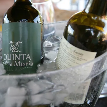 Panzió Quinta Soria Moria *
